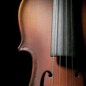 Meet your Posher, Nana